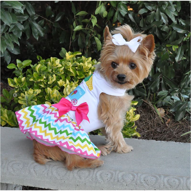 - Ice Cream Cart Dog Dress With Matching Leash New Arrival