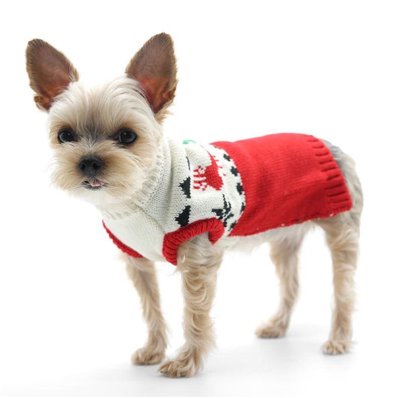 Jolly Dog Sweater Dog Apparel clothes for small dogs, cute dog apparel, cute dog clothes, dog apparel, dog hoodies