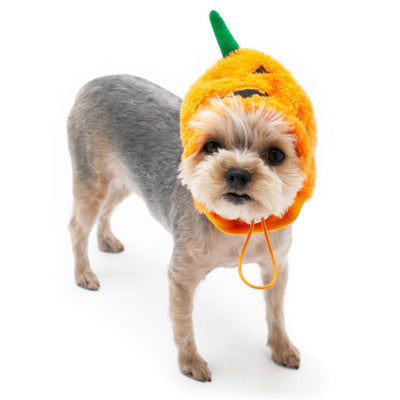 Furry Jack-O Dog Hat clothes for small dogs, cute dog apparel, cute dog clothes, dog apparel, DOG HATS