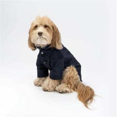 Jean-Paul Dog Raincoat Dog Apparel NEW ARRIVAL