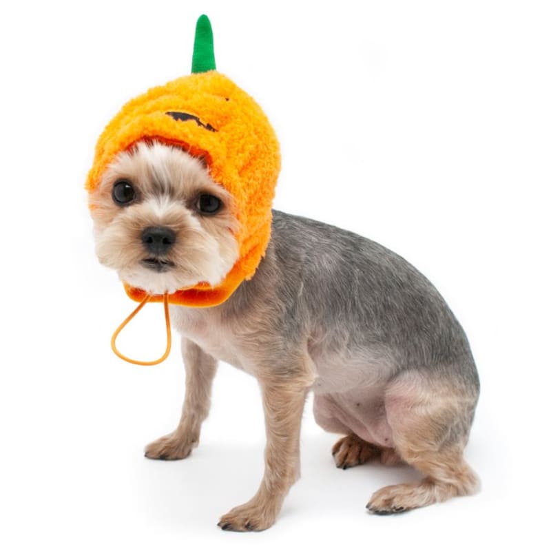 Furry Jack-O Dog Hat clothes for small dogs, cute dog apparel, cute dog clothes, dog apparel, DOG HATS
