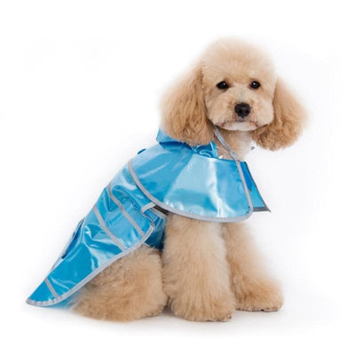 - Jelly Dog Raincoat in Blue NEW ARRIVAL