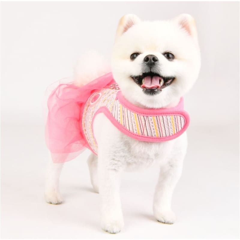 Joie Flirt Dog Harness Dress NEW ARRIVAL