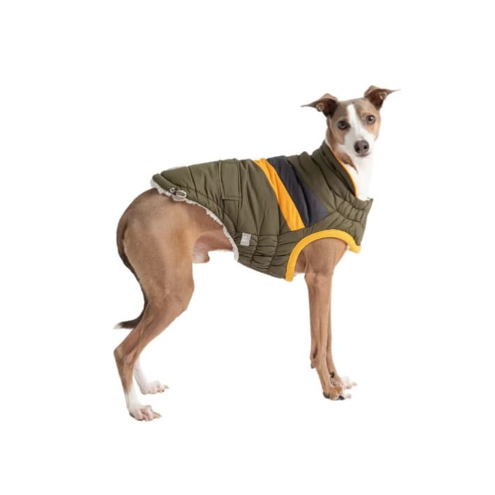 Dark Khaki Alpine Puffer Coat Dog Apparel NEW ARRIVAL