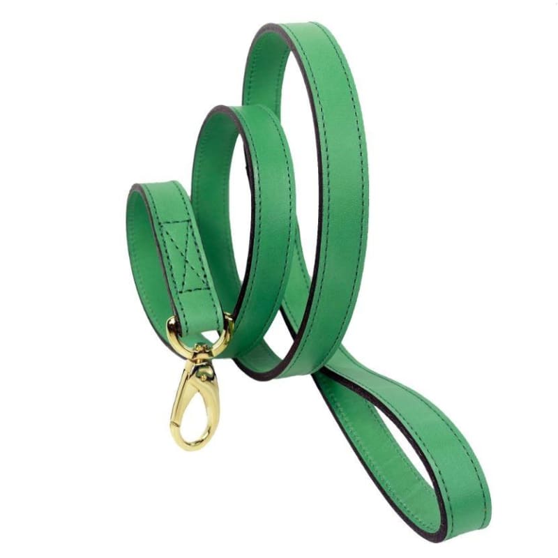 - Regency Italian Leather Dog Collar in Kelly Green genuine leather dog collars HARTMAN & ROSE luxury dog collars