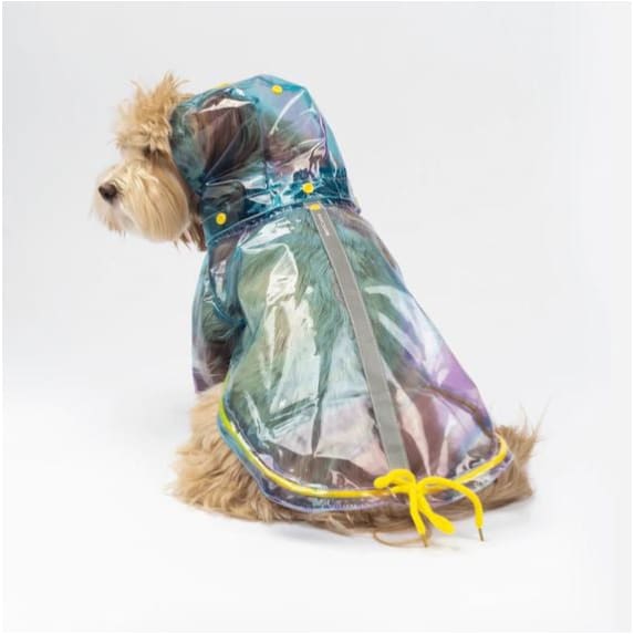 Kinney Dog Raincoat Dog Apparel NEW ARRIVAL