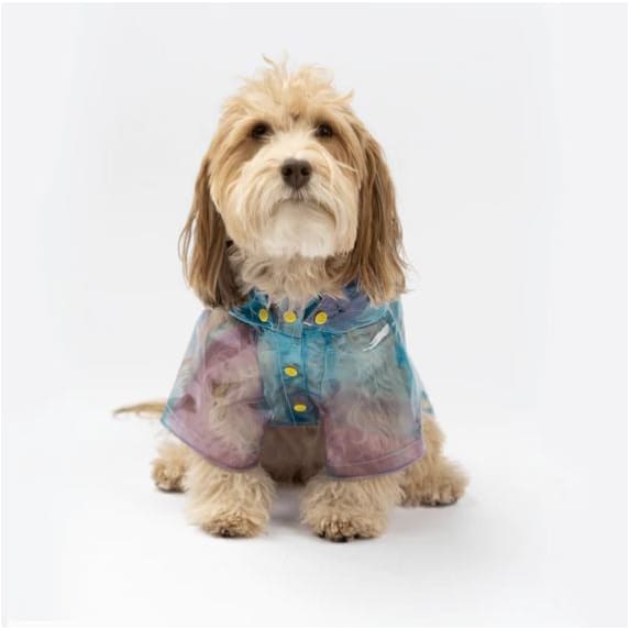 Kinney Dog Raincoat Dog Apparel NEW ARRIVAL