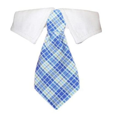 - Kevin Shirt Collar with Necktie NEW ARRIVAL