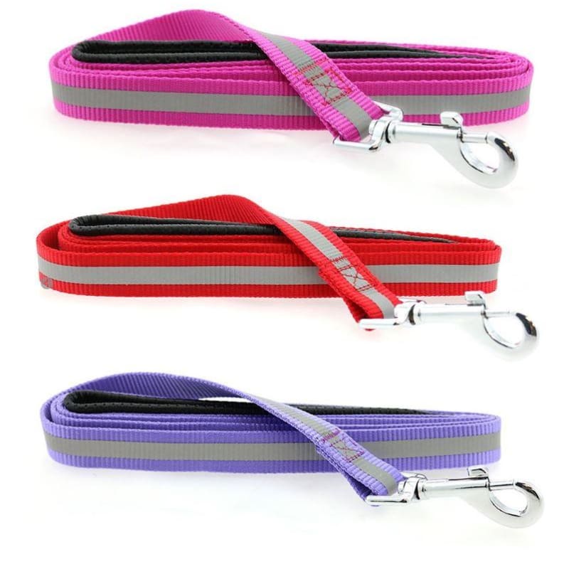 - Reflective Nylon Dog Leash with Soft Grip Handle NEW ARRIVAL