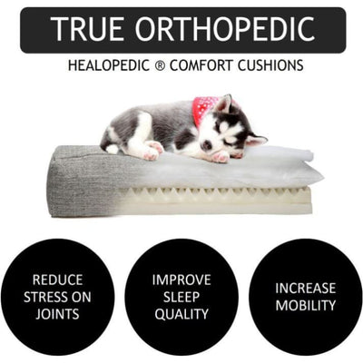 Pewter Velvet Orthopedic Mid Century Lido Dog Bed NEW ARRIVAL