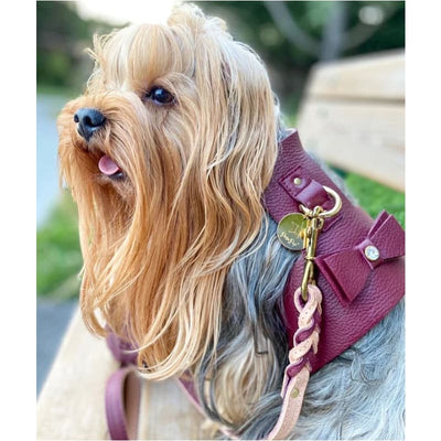 Genuine Italian Leather Dog Harness in Luscious Bow Pet Collars & Harnesses