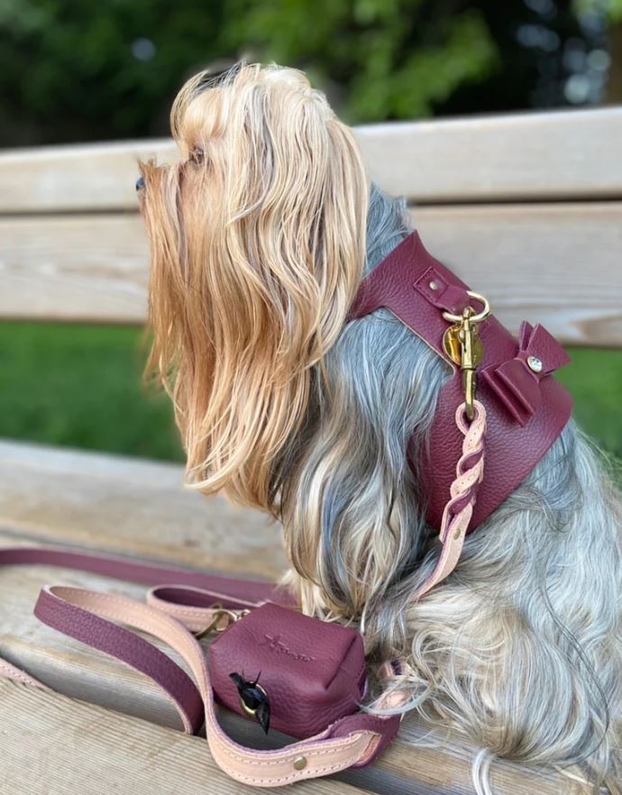 Genuine Italian Leather Dog Harness in Luscious Bow Pet Collars & Harnesses