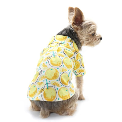 Lemonade Dog Shirt DOGO clothes for small dogs, cute dog apparel, cute dog clothes, dog apparel, dog sweaters