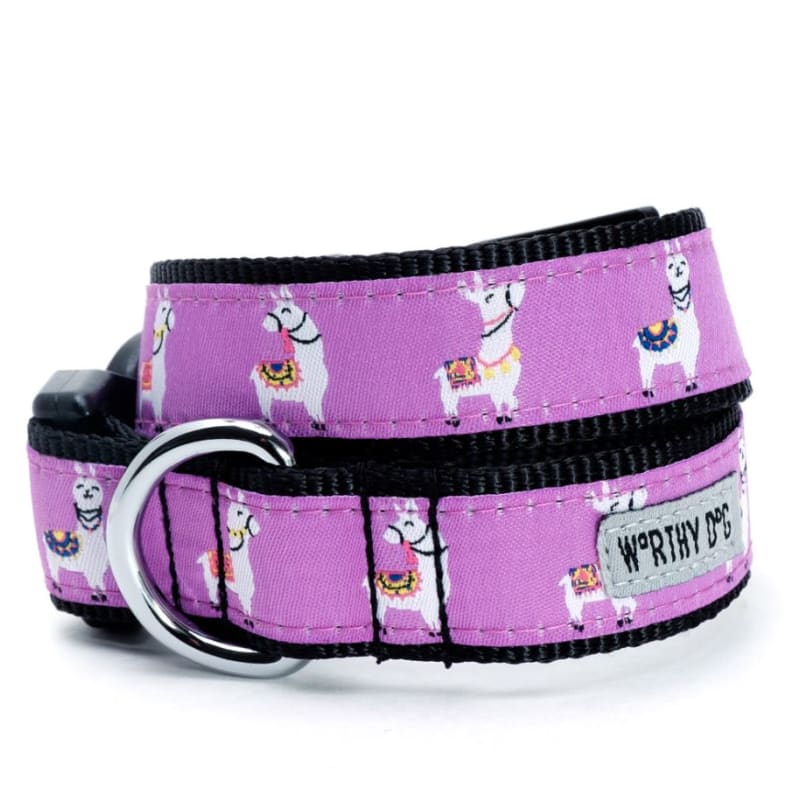 Llamas Dog Collar & Leash Collection Pet Collars & Harnesses bling dog collars, cute dog collar, dog collars, fun dog collars, leather dog 
