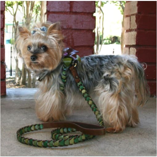 - Shades Of Green Leather Dog Leash Dog In The Closet New Arrival