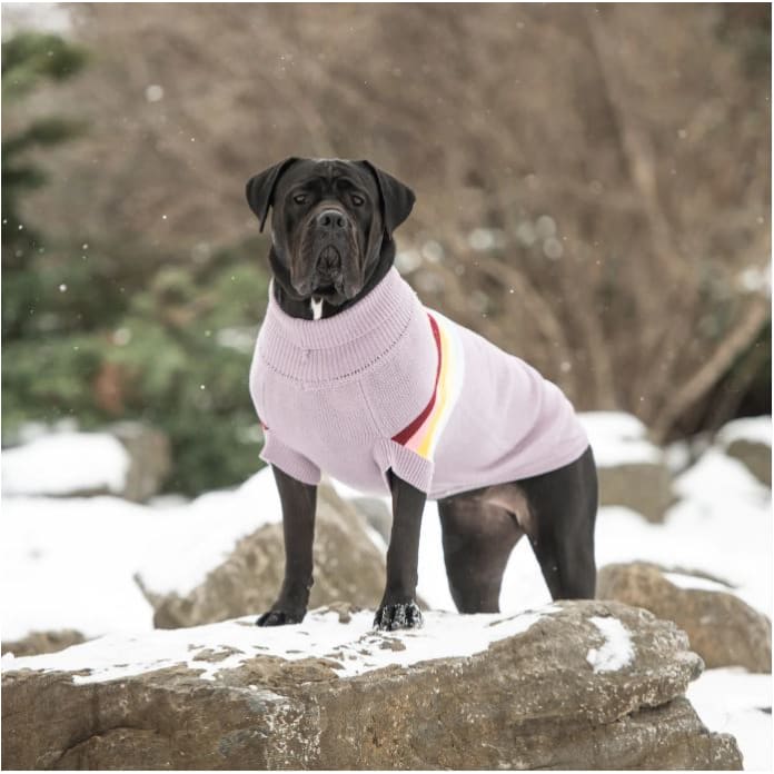 Lavender Retro Dog Sweater Dog Apparel NEW ARRIVAL