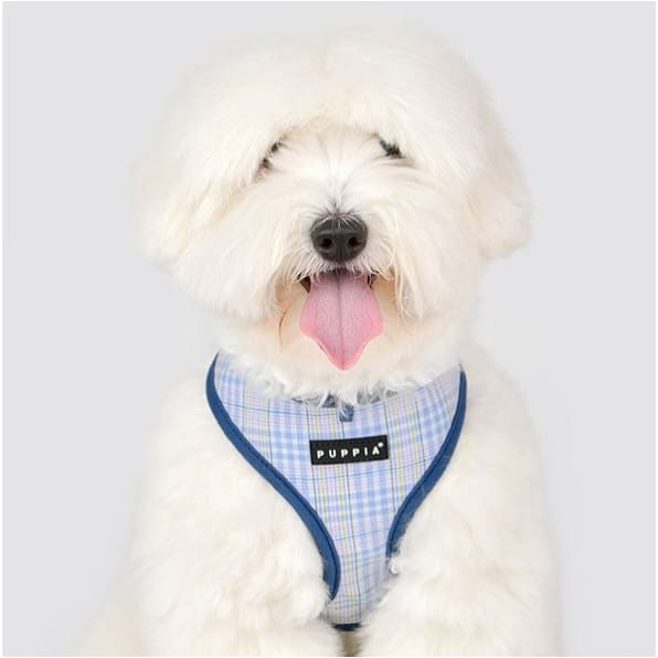 Luke Step-In Dog Harness Pet Collars & Harnesses dog harnesses, harnesses for small dogs, NEW ARRIVAL