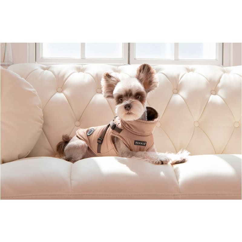 - Mountaineer II Beige Dog Vest With Harness clothes for small dogs cute dog apparel cute dog clothes dog apparel dog sweaters