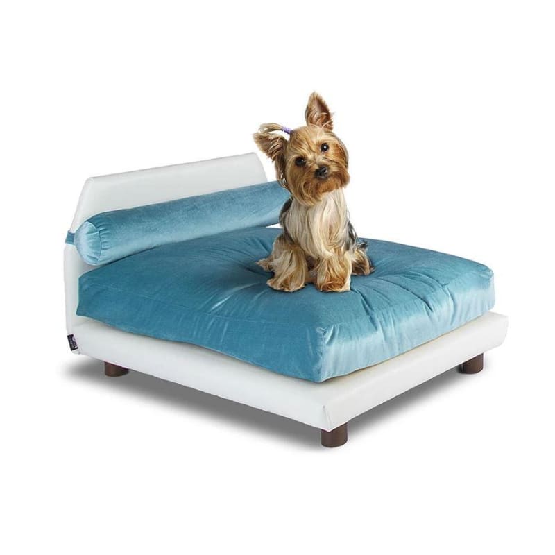 Aqua Velvet Orthopedic Mid Century Lido Dog Bed NEW ARRIVAL