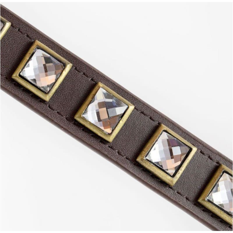 Monte Carlo Brown Genuine Leather Dog Collar NEW ARRIVAL