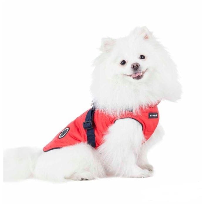 - Mountaineer II Red Dog Vest With Harness clothes for small dogs cute dog apparel cute dog clothes dog apparel dog sweaters
