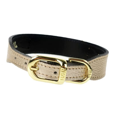 - Horse & Hound Italian Leather Dog Collar in Metallic Gold genuine leather dog collars HARTMAN & ROSE luxury dog collars