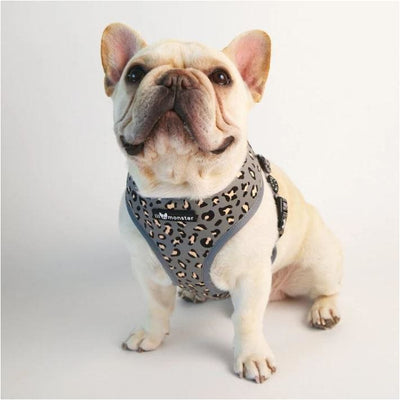 Spotted Gray Reversible Harness NEW ARRIVAL