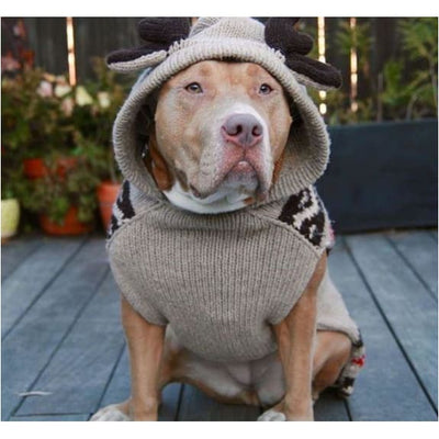 - Hand-Knit Wool Moosey Hoodie For Dogs clothes for small dogs cute dog apparel cute dog clothes dog apparel dog hoodies