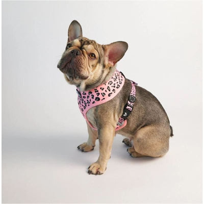 Spotted Pink Reversible Harness NEW ARRIVAL