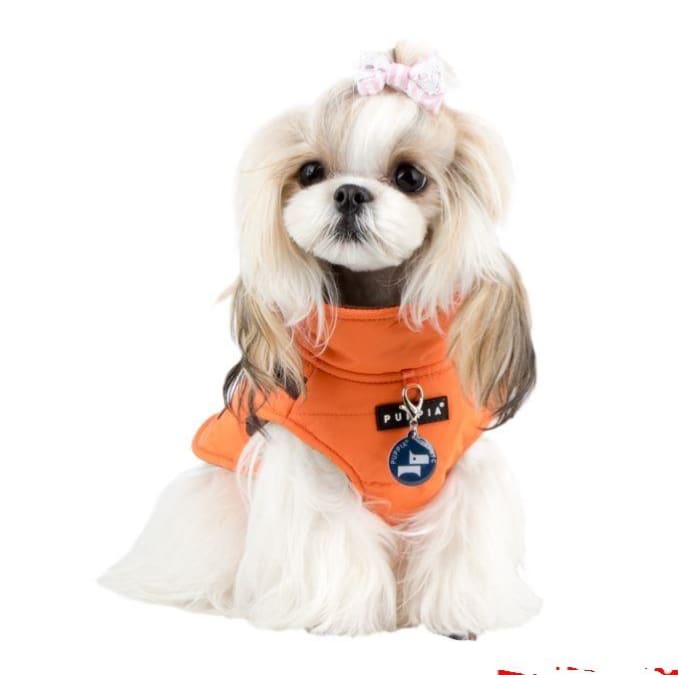 - Mountaineer II Orange Dog Vest With Harness clothes for small dogs cute dog apparel cute dog clothes dog apparel dog sweaters