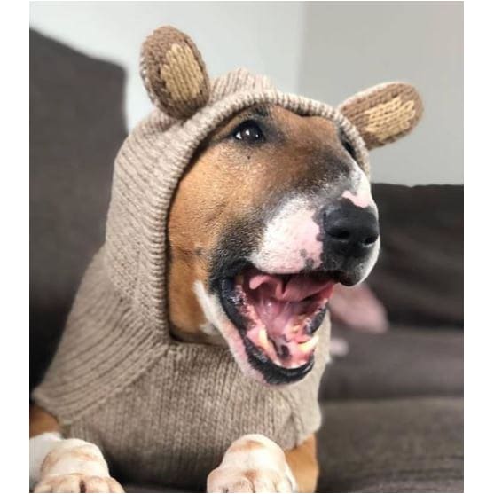 - Hand-Knit Wool Monkey Hoodie For Dogs clothes for small dogs cute dog apparel cute dog clothes dog apparel dog hoodies
