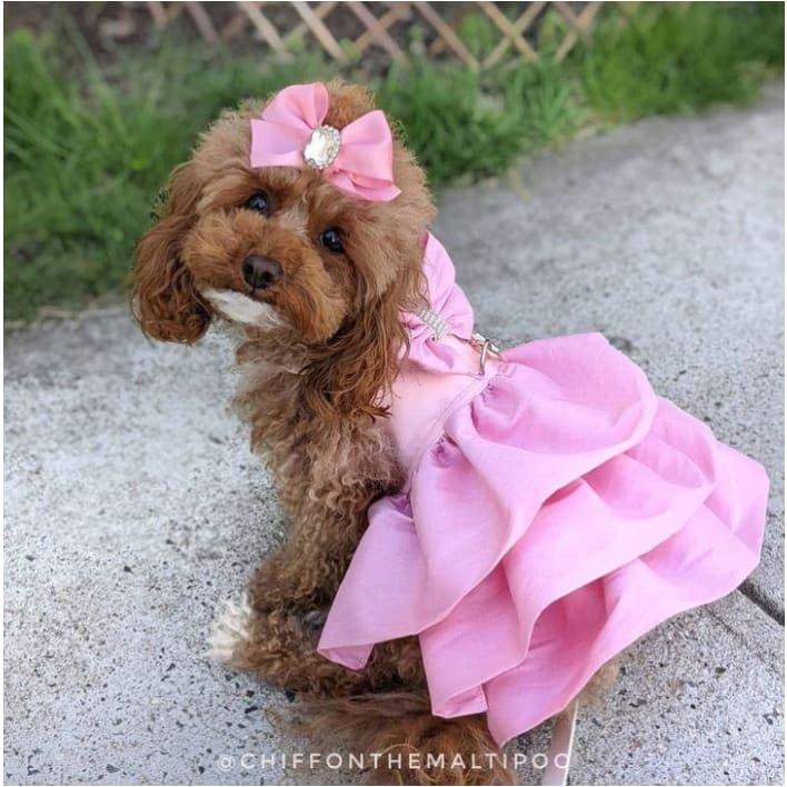 Madison Dog Dress in Puppy Pink
