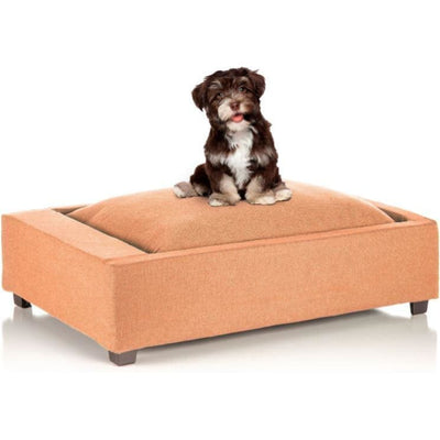 Mango Mod Orthopedic Dog Bed with Removable Insert NEW ARRIVAL
