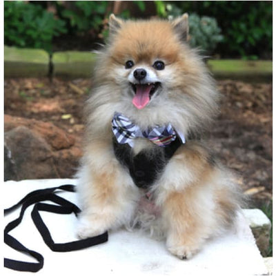 - White Shirt Dog Collar With Plaid Bow Tie Dog In The Closet New Arrival