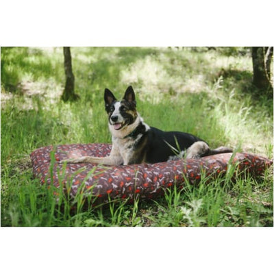 - Scout & About Outdoor Dog Bed in Mocha NEW ARRIVAL P.L.A.Y