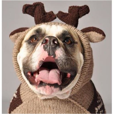 - Hand-Knit Wool Moosey Hoodie For Dogs Sweaters