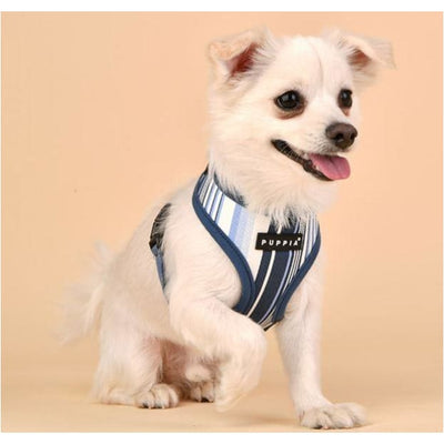 Navy Caiden Step-In Dog Harness dog harnesses, harnesses for small dogs, NEW ARRIVAL