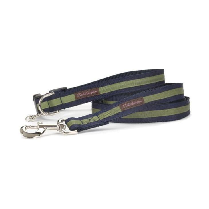 - Navy Blue and Green Stripe Dog Leash NEW ARRIVAL