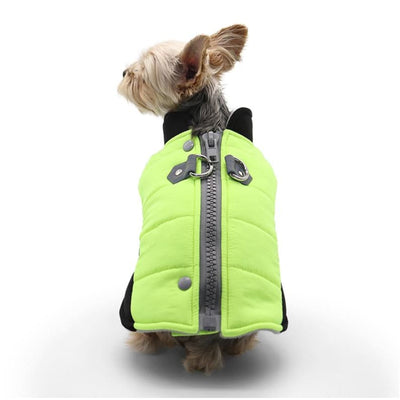 Runner Dog Coat Metallic Neon Dog Apparel clothes for small dogs, COATS, cute dog apparel, cute dog clothes, dog apparel