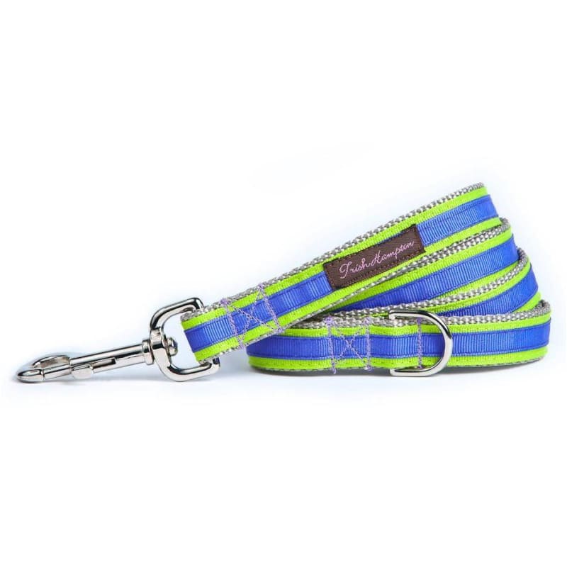 - Neon Green and Purple Stripe Dog Leash NEW ARRIVAL