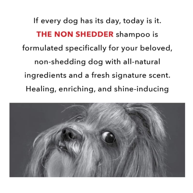 The Non Shedder Dog Shampoo - Gallon