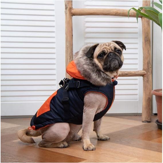 Orson Fleece and Fur Dog Coat With Harness in Navy