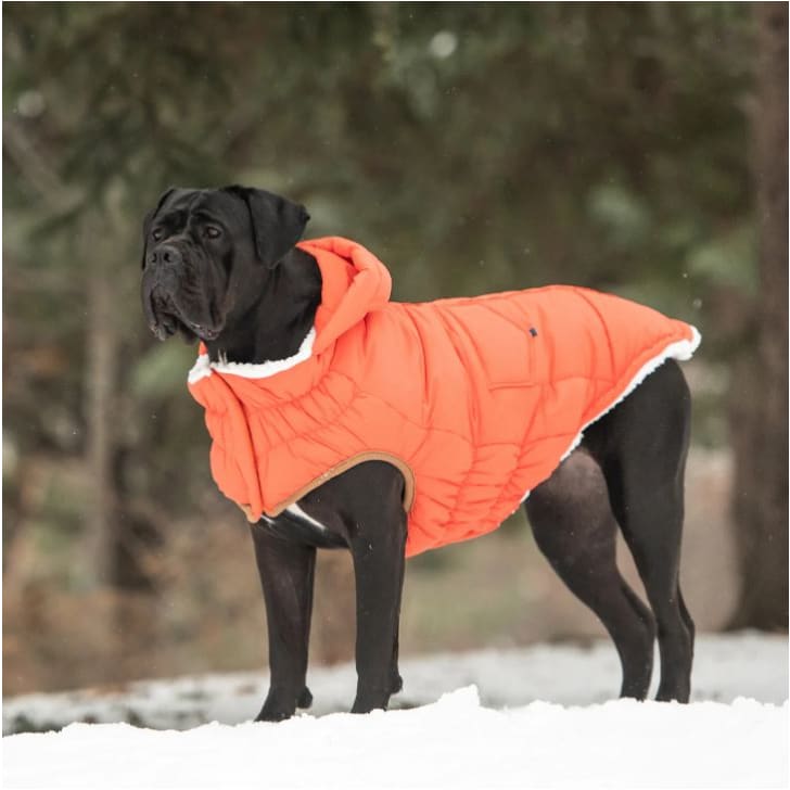Orange Elasto-Fit Super Puff Dog Parka Dog Apparel NEW ARRIVAL