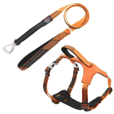 Orange Escapade 2-in-1 Shock Absorbing Neoprene Padded Harness & Leash Set NEW ARRIVAL