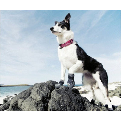 Outback Dog Boots - For Small to Large Dogs NEW ARRIVAL