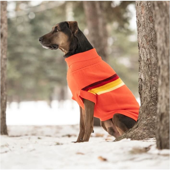 Orange Retro Dog Sweater Dog Apparel NEW ARRIVAL