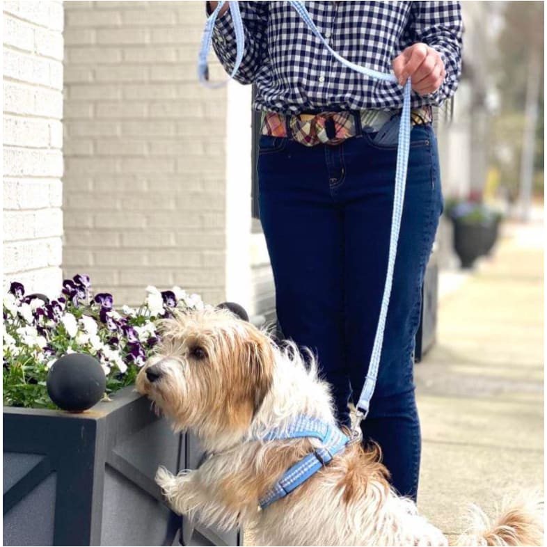 Teacup Gingham Dog Vest Harness MORE COLOR OPTIONS, NEW ARRIVAL