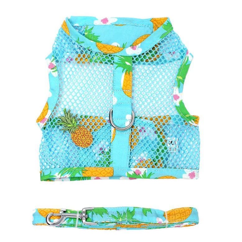 Copy of Pineapple Luau Dog Harness & Matching Leash dog harnesses, harnesses for small dogs