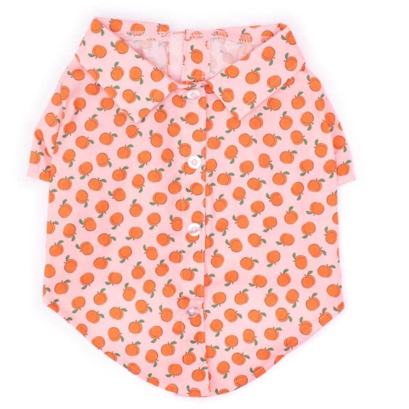 Peachy Keen Dog Shirt Dog Apparel clothes for small dogs, cute dog apparel, cute dog clothes, NEW ARRIVAL, shirts for dogs