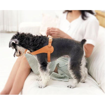 Boutique Series Blush Adjustable Designer Microfiber Leather Dog Harness NEW ARRIVAL